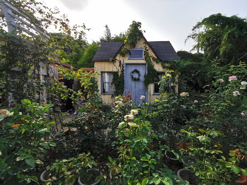 【台灣，桃園，中壢】玫瑰山谷，市區中的小淨土；瞬間穿越到歐洲。（中原大學附近下午茶/ig打卡店）