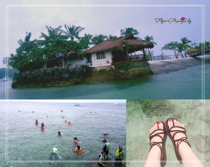 | 菲律賓遊學旅行 | Island Hopping宿霧跳島行程 資生堂島(Chohagan) &娜魯蘇灣島(Nalusuan) 浮潛天堂與漫步白色沙灘