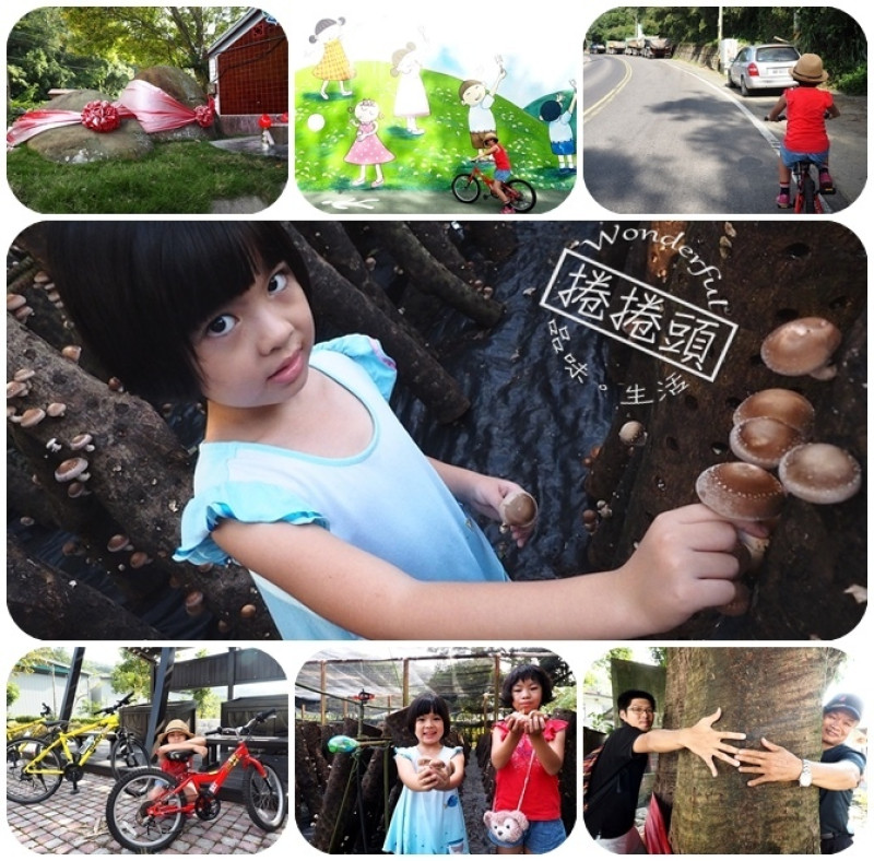 【新竹芎林】2016新竹縣自行車節！！鹿寮坑騎鐵馬，看茄苳老樹+拜石爺石婆+現採香菇