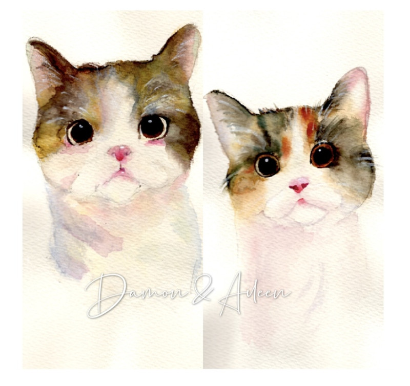 Dotel西門/不限時咖啡廳/插畫實驗室/大人的水彩畫/手沖咖啡/共享空間/共享廚房/手作課程