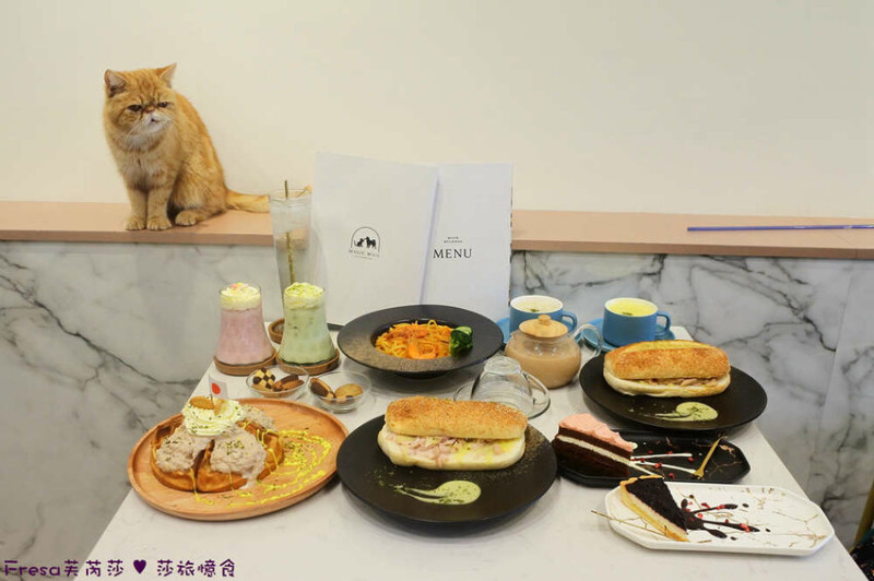 台南寵物餐廳【魔法咪嚕】喵星旺狗坐檯陪吃有夠可愛！餵食趣感受被圍繞的歡迎式│義式輕食│永康美食 - Fresa芙芮莎♥莎旅憶食