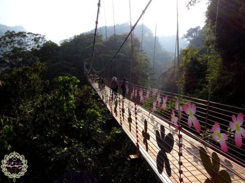 2014.11.23 -【嘉義】白人牙膏觀光工廠、竹崎花仙子步道&天空走廊、【南投】坪瀨琉璃光之橋
