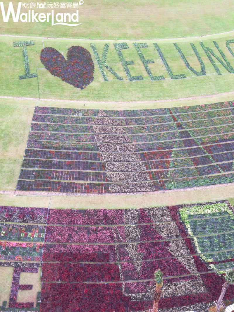 擁恆文創園區「羊羊得意嘉年華」2/14登場！ 14萬盆海棠、風車造景免費參觀！