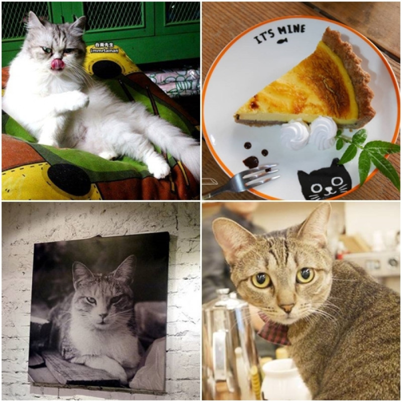就是怕你被萌翻！全台貓奴必訪的19家貓咪咖啡＆餐廳，至少去過一半再說你是資深貓奴！