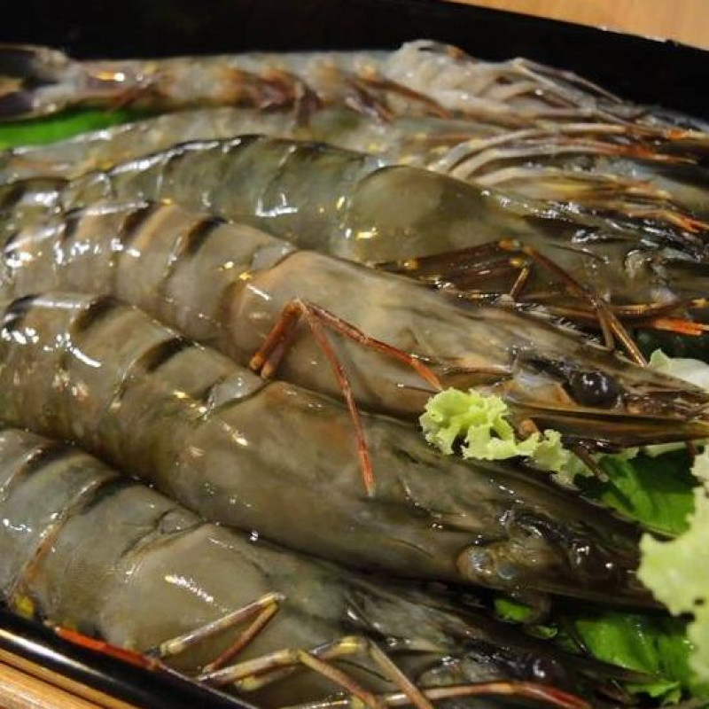 [食記]台北 長安東路美食推薦 中國瘋 實料火鍋 真材實料福州墨魚老蟶筒骨鍋 念念不忘的好味道