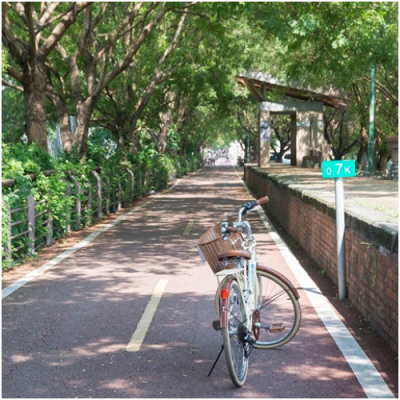 假日出遊曬心情！「東豐自行車綠廊」愜意鐵馬行，再踩點3家台中豐原廟東小吃。