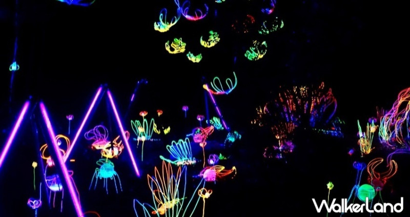 台南秘境被點亮了！「2019龍崎光節-空山祭」12/21登場，9件藝術作品繽紛點亮虎形山，一起尋著亮光到山裡探險去。