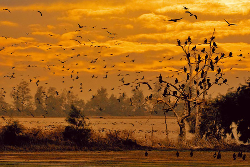 浯島韶光，懷古尋金(今)。