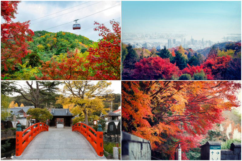 神戶11大楓景／有馬溫泉、六甲山秘境森林、市街區3大私房賞楓路線大公開！