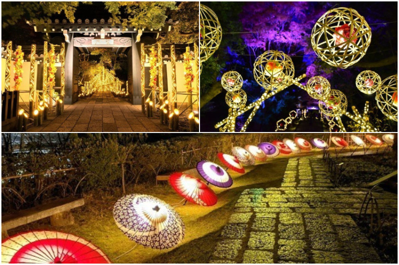 竹燈、和傘交織出日式風情，花卉主題樂園 HANA．BIYORI展覽「竹燈HANA　AKARI」絕美開催！