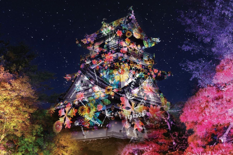 日本百名城夜間賞花「NAKED FLOWERS -高知城-」8大亮點搶先看！再加高知縣繁華夜五大推薦