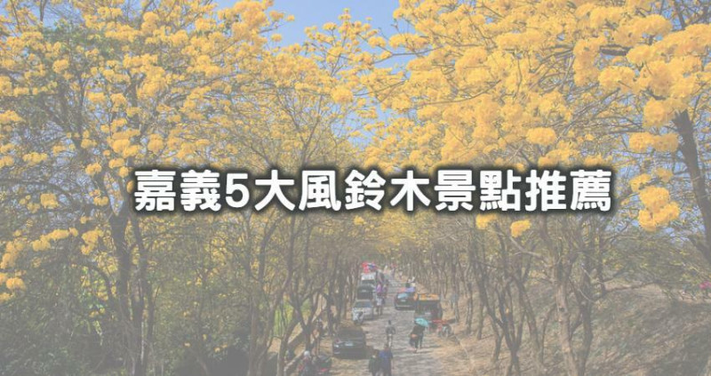 一公里黃金花海限時搶拍！網美必訪5個「嘉義風鈴木秘境」大公開，「一公里美炸黃金花海、滿排洋紅風鈴木」只看軍輝橋花海太落伍。