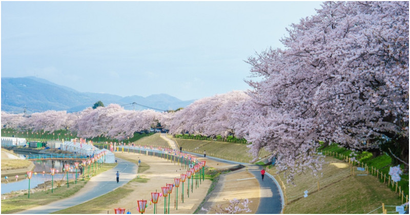 日本岡山高雄限定活動！賞櫻 文創 美食「岡山 心 發現in高雄」一次滿足。