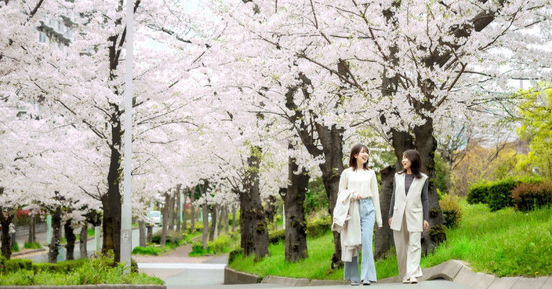 大阪豪華飯店景點通票！大阪灣格蘭王子飯店推出賞櫻黃金期限時優惠，25處景點門票免費。