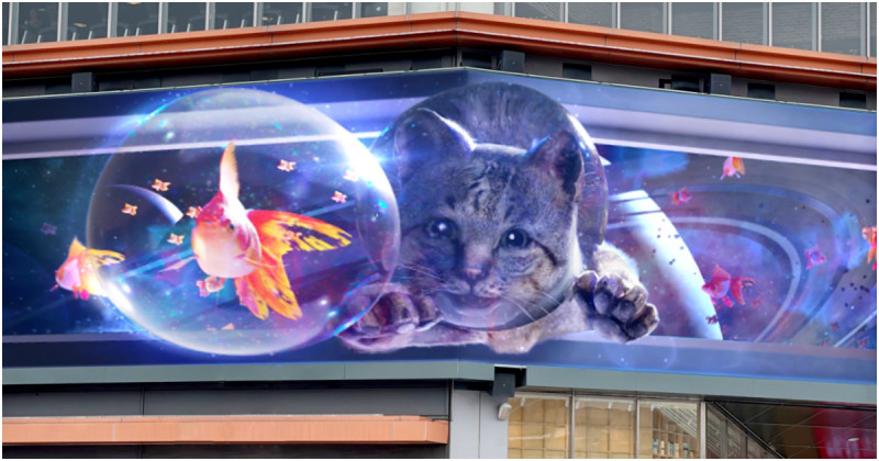 貓奴必朝聖！新竹大魯閣超萌3D貓咪奇幻秀2/22貓之日開演。