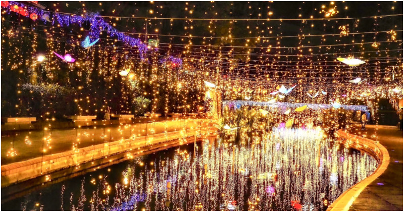 新莊中港光雕展「5米高光之女神」2/26首亮相！新莊人的中港大排必拍攻略。