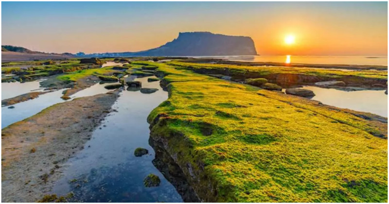 出國旅遊趨勢！KKday迷你小團優惠，日本韓國泰國包車19,900元起。