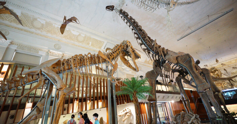 台北室內親子景點7大必玩！搭捷運衝台北森林植物園，室內親子遊戲區下雨照玩。