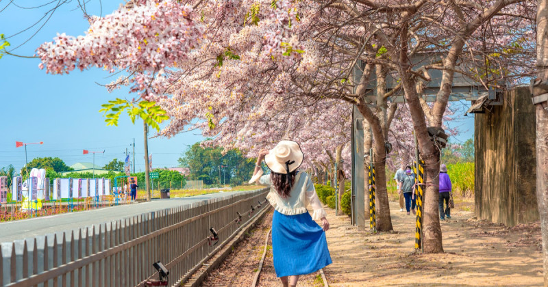 三月台南百花盛開！台南賞花全攻略 國際蘭展、木棉花、蜀葵花等花季綻放中。