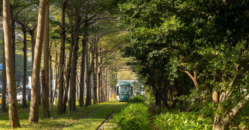 一篇搞定2025最美打卡點！老屋控、森林系、動畫迷必收清單，IG版面美出新高度。