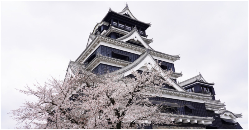 熊本賞櫻必衝熊本城！日本三大名城之一、代表性熊本景點，馬肉刺身等你嚐鮮。