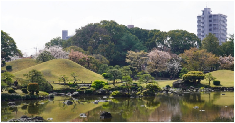 熊本也有富士山！熊本賞櫻景點水前寺成趣園，絕美回遊式庭園，出水神社喝長壽水。