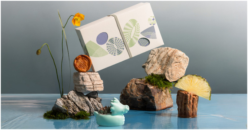 有肉SUCCULAND聯名卡柏蒂CUPETIT，「2025 綠舟金運」雙享植品禮盒閃耀預購中。