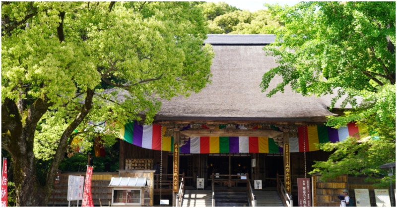 考生必訪高知景點！五台山竹林寺 順遊牧野植物園，來一場療癒身心的綠色旅行。