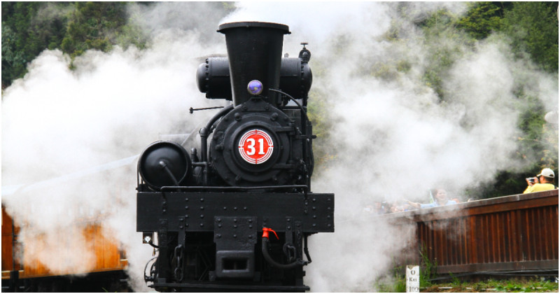 阿里山百年蒸汽火車開跑！日出雲海、暑假森林小火車，限定行程開放預訂。