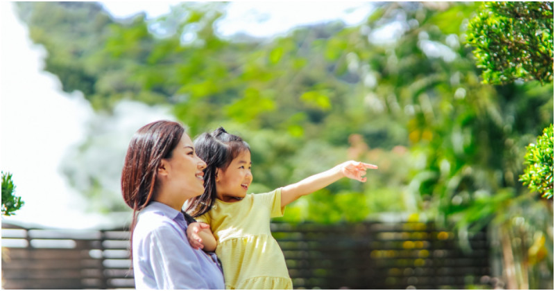 知本老爺強勢回歸！台東暑假旅遊最強選擇，親子主題房、熱氣球專案，亮點搶先看。