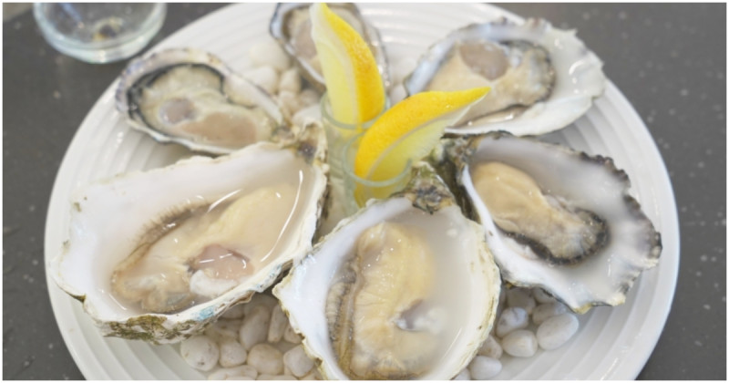 高雄生蠔這裡吃！歐陸食材小舖 產地直送新鮮生蠔現撬現吃，料理人首選的進口食材廚房。