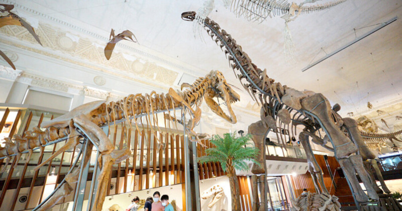 台北博物館必逛7大推薦！暑假衝台北室內冷氣景點，遛小孩也不無聊。