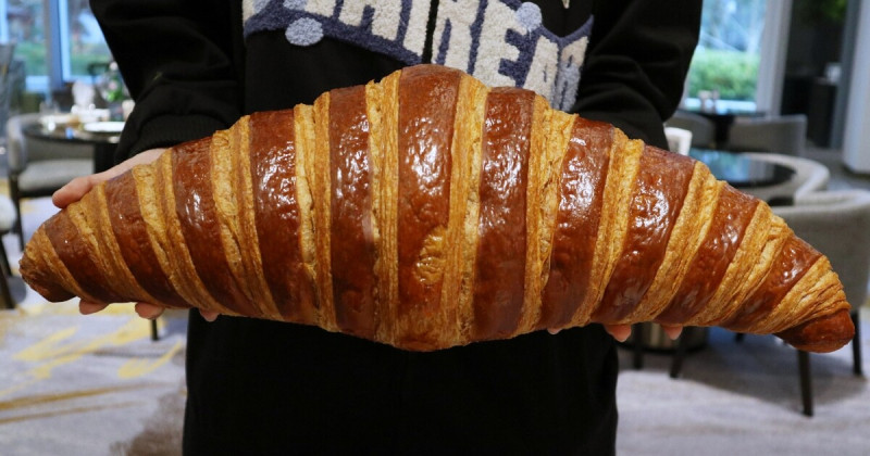 8倍大「霸王雙色可頌」必吃！漢來美食芒果季10款限定甜點、台北高雄同步開賣。