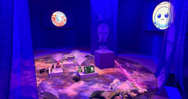 中山站展覽必逛亮點！台北當代藝術館雙展覽一次看，假日親子同行免費逛。