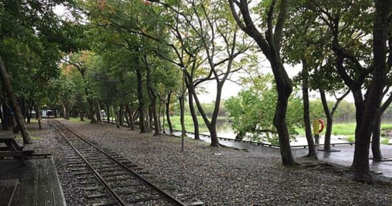 宜蘭羅東免費景點散策！到林業文化園區、吃古早味料理，不逛羅東夜市也好玩。