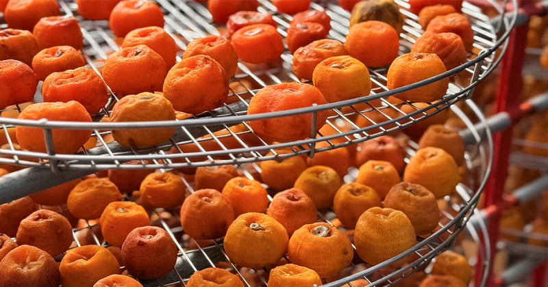 新竹柿餅一日遊！柿代相傳 柴燒柿餅超推、在地人買這間，錯過只能等明年。