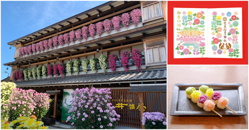 日本最古老菊花祭！茨城笠間稻荷神社第118屆菊祭免費入場，菊人形、和傘打卡點美炸了。