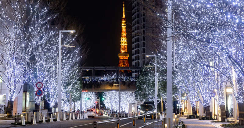 93萬顆燈點亮東京，六本木欅坂大道聖誕市集來了，夢幻燈海、市集、聖誕樹，浪漫氛圍拉滿。