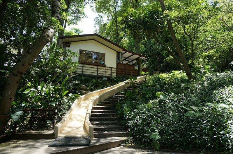 【新竹新埔】『森林鳥花園』～新竹親子景點，孩子們的快樂天堂／森林木屋滑梯／沙坑／戲水／攀岩／森林書屋／塗鴉／積木。