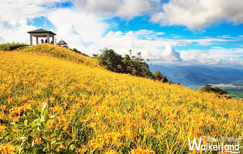 夏季限定旅遊攻略就在這！知名旅遊平台整理出全台夏季限定旅遊攻略，讓你不用再擔心出去玩沒做功課了。