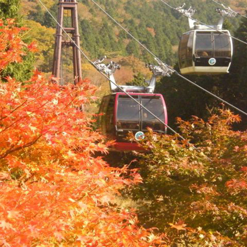 日本賞楓季即將開始，嚴選5個東京近郊的「神奈川縣狩楓」人氣景點與秘境，現在開始準備來得及！