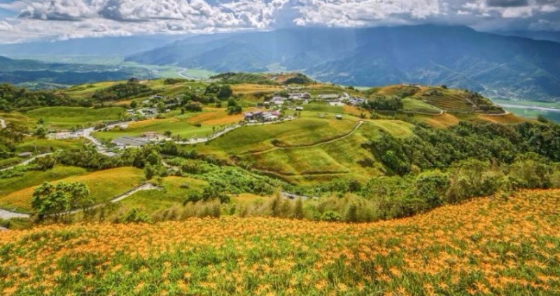 【花蓮】六十石山．忘憂亭小瑞士金針花海、日出