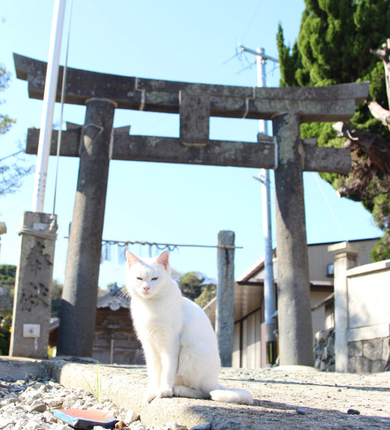 歡迎來到福岡！快來參加「福岡出發 當天來回一日遊」