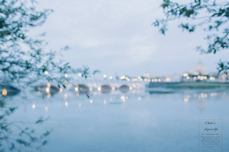 台南✿｜三天兩夜必訪｜奇美博物館(拍攝絕美位置大公開)、眼鏡仔炒鱔魚意麵、茶都里