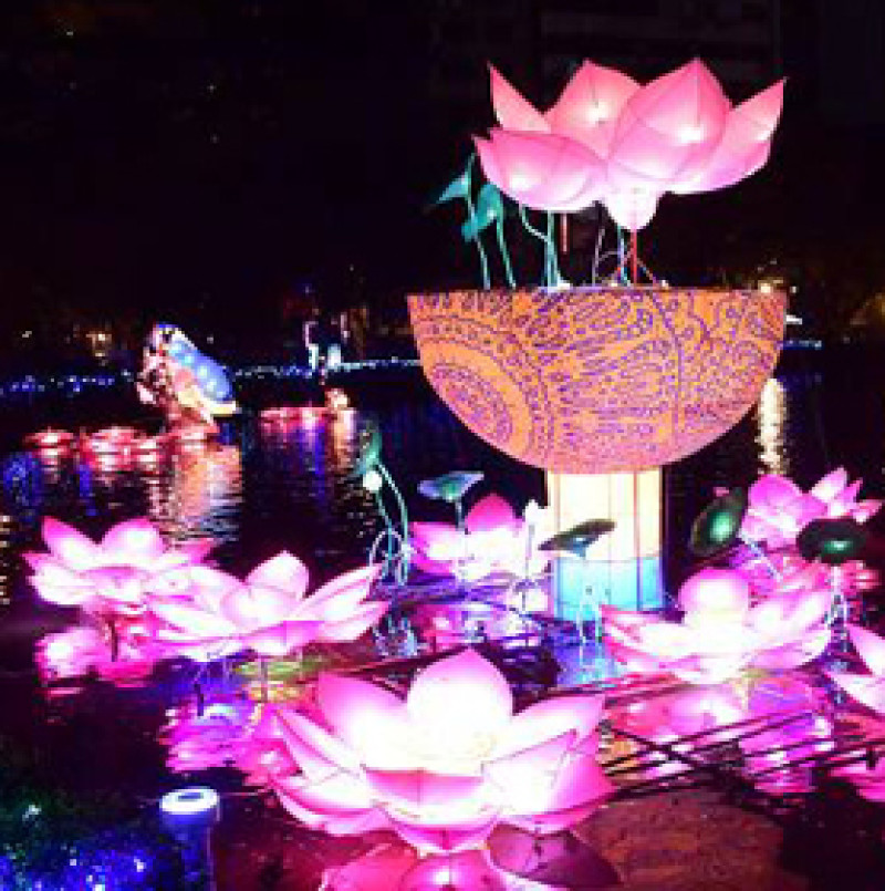 【台中】2015台中燈會-台中公園燈展區，湖心亭划船浪漫遊湖