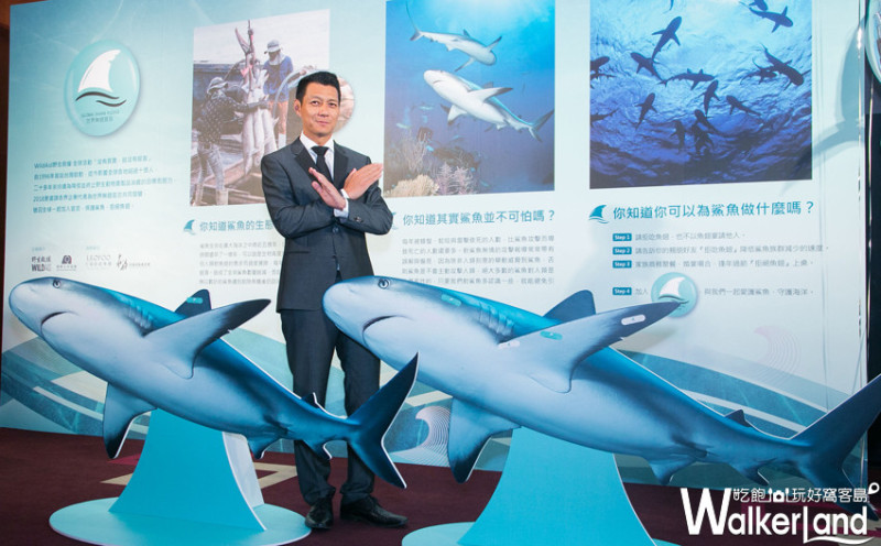 從自己開始！為了我們的下一代，從現在開始支持響應「沒有買賣，就沒有殺害」，拒吃魚翅，救自己也救鯊魚。