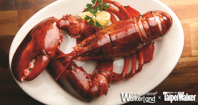 你要的龍蝦大餐就在這！三間期間限定的龍蝦餐廳！