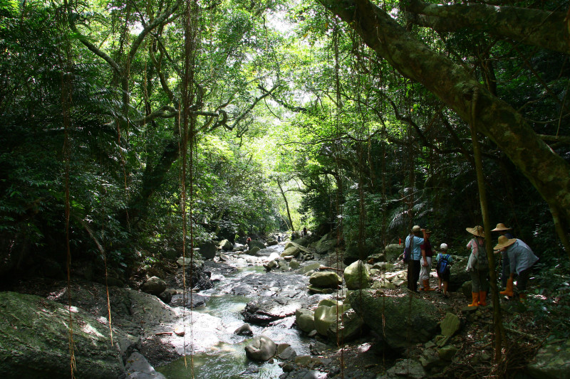 你所不知道的屏東生態秘境之旅！欖仁溪生態遊大放送！