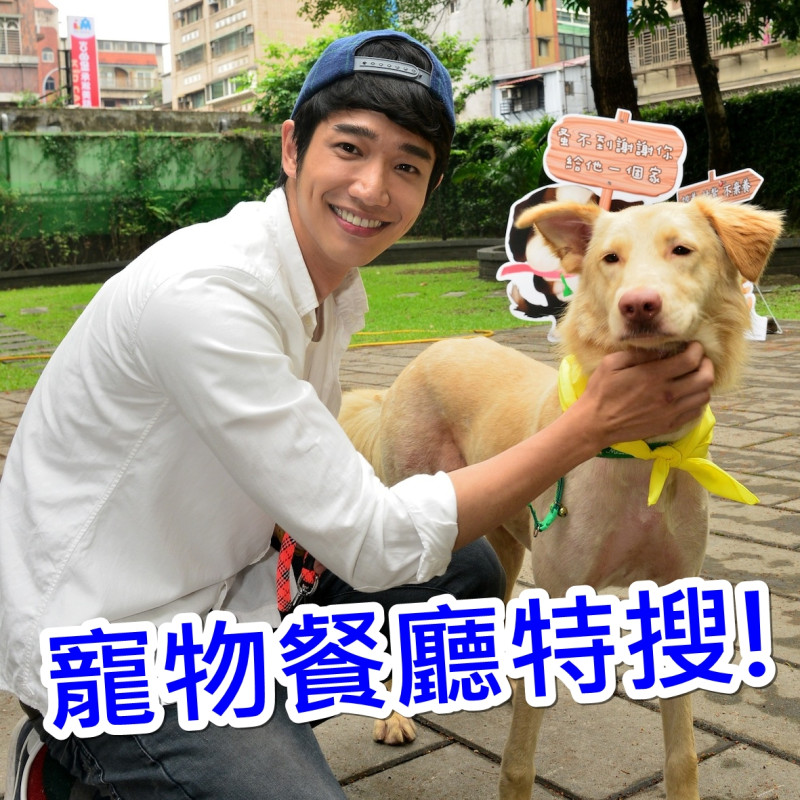 寵物餐廳大集合 帶著毛小孩一起吃、一起玩、一起奔跑吧！