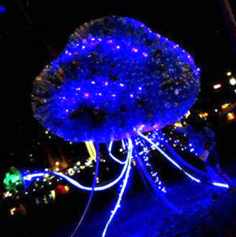 2015.02.27 -【高雄】2015　愛．幸福　高雄燈會藝術節　　花燈，可不是只能用眼睛看，裝有感應晶片的互動式花燈，有趣又好玩！！